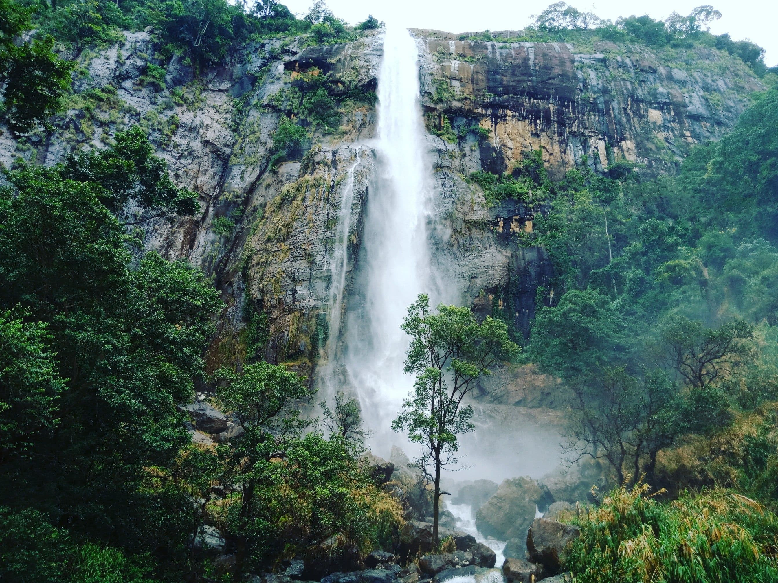 Sinharaja Rainforest, Sri Lanka